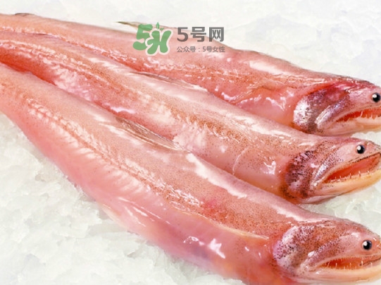 海鮮水潺孕婦可以吃嗎？水潺魚的營養(yǎng)價值