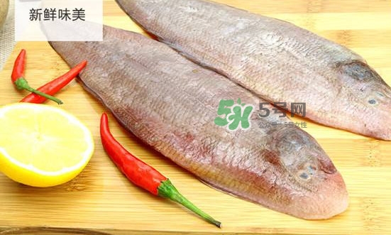龍利魚多少錢一斤？龍利魚是什么魚