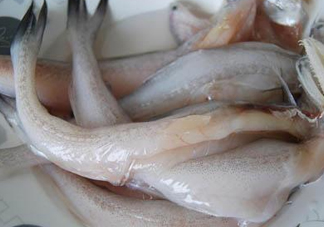 龍頭魚怎么殺？龍頭魚怎么處理？