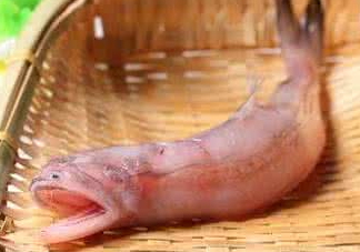 龍頭魚身是什么神獸？龍頭魚身是什么寓意