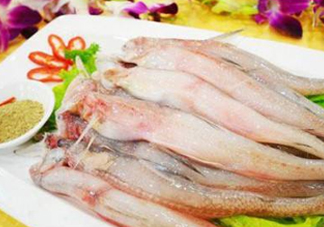 龍頭魚孕婦可以吃嗎？孕婦能吃龍頭魚嗎