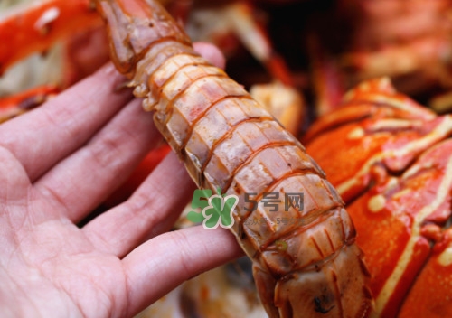 蝦蛄怎么吃？蝦蛄怎么做好吃？