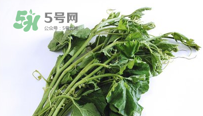 南瓜苗怎么做好吃？南瓜苗怎么撕？