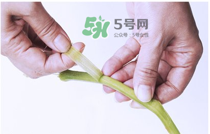 南瓜苗怎么做好吃？南瓜苗怎么撕？