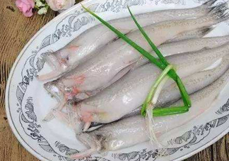 海鮮水潺孕婦可以吃嗎？水潺魚的營養(yǎng)價(jià)值