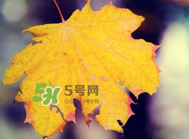 立秋后吃什么好？立秋后怎么養(yǎng)生？