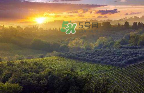 立秋后吃什么好？立秋后怎么養(yǎng)生？