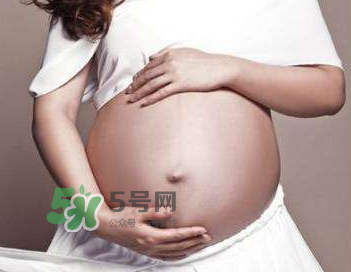 四維彩超的最佳時間 四維彩超什么時候做最好？