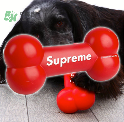 supreme狗骨頭玩具是真的嗎？supreme骨頭玩具會(huì)發(fā)售嗎？
