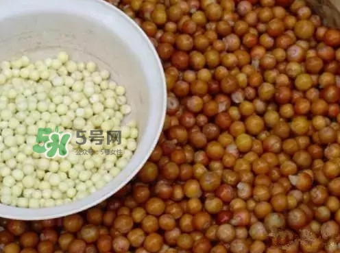 雞頭米一次吃多少合適？雞頭米可以多吃嗎