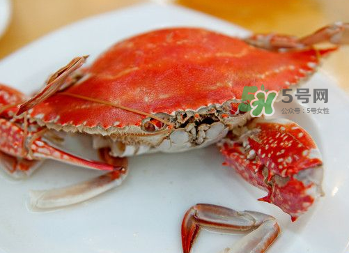 梭子蟹可以清蒸嗎？梭子蟹蒸還是煮？