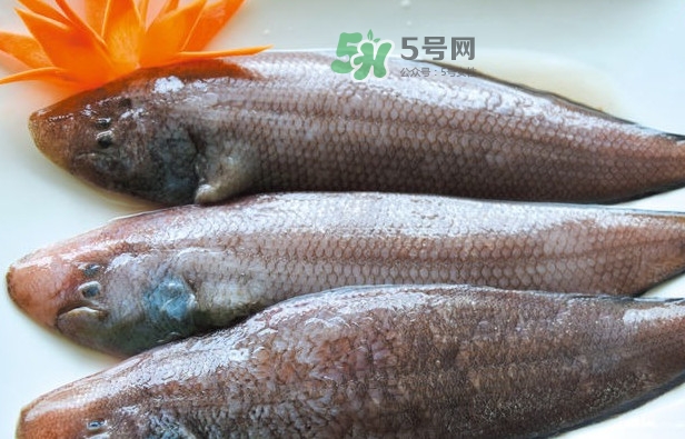 龍利魚怎么做給寶寶吃？龍利魚怎么處理