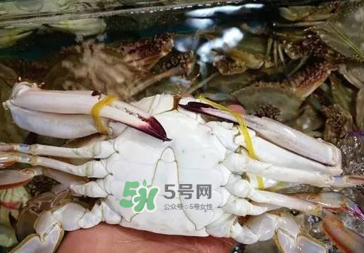 梭子蟹放冷藏還是冷凍？梭子蟹可以放速凍嗎？
