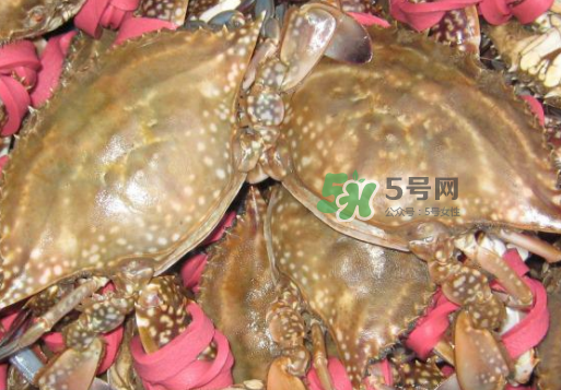 梭子蟹放冷藏還是冷凍？梭子蟹可以放速凍嗎？