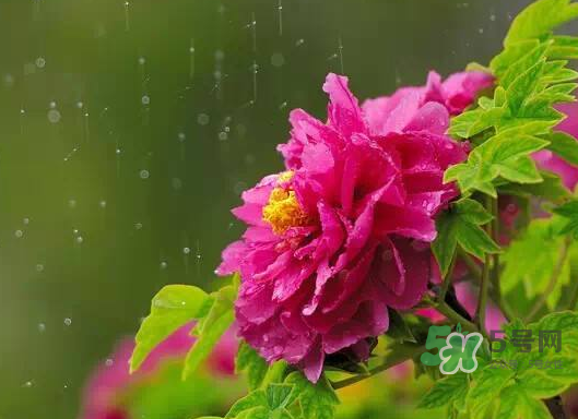 2017處暑會(huì)下雨嗎？處暑會(huì)下雨好嗎？