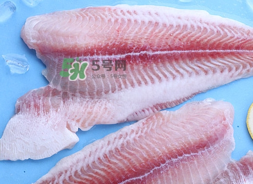 龍利魚是海魚嗎？龍利魚是海鮮嗎