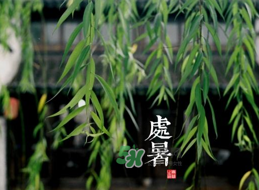 2017處暑還熱嗎？2017處暑后天氣還熱嗎？