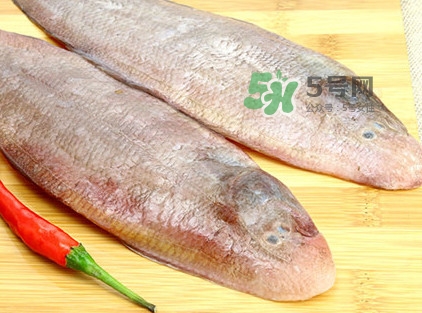 寶寶多大能吃龍利魚？幾個月的寶寶可以吃龍利魚