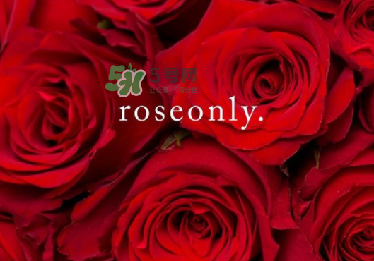 2017七夕禮盒roseonly多少錢？roseonly巨型玫瑰禮盒多少錢？