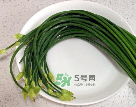 吃韭菜苔回奶嗎？韭菜苔和蒜苗是一回事嗎