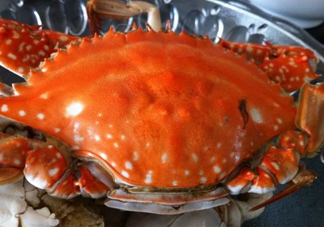 梭子蟹可以清蒸嗎？梭子蟹蒸還是煮？