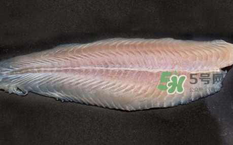 龍利魚是淡水魚嗎？龍利魚是巴沙魚嗎