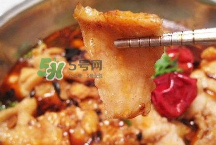 龍利魚有刺嗎？龍利魚有魚鱗嗎