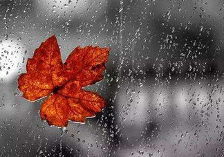 2017處暑會下雨嗎？處暑會下雨好嗎？