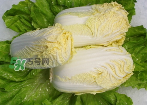 娃娃菜可以放冰箱嗎？娃娃菜可以放多久