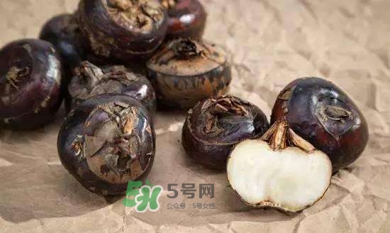 野荸薺是什么樣子的？野荸薺的營(yíng)養(yǎng)價(jià)值