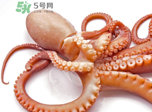 章魚血是什么顏色？章魚血為什么是藍色？