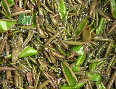 莼菜是發(fā)物嗎？莼菜涼拌要過開水嗎