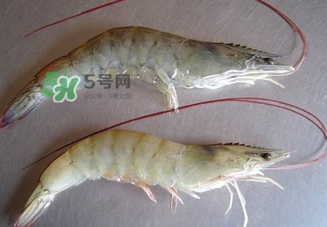 太湖白蝦多少錢一斤？太湖白蝦干多少錢一斤
