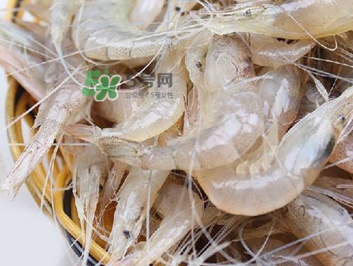 白蝦是河蝦還是海蝦？白蝦是寒性的嗎