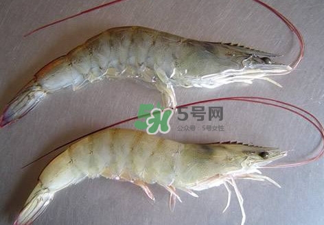 白蝦有寄生蟲(chóng)嗎？如何選購(gòu)新鮮的蝦