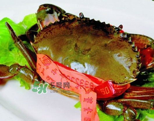青蟹能放幾天？青蟹能活多久？