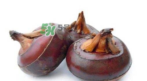 吃荸薺有什么好處？吃荸薺的禁忌