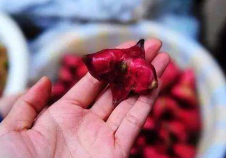 紅菱怎么吃？吃紅菱有什么好處？