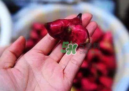 紅菱怎么吃？吃紅菱有什么好處？