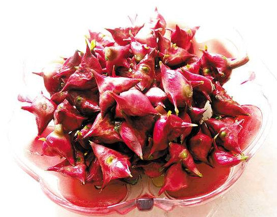 紅菱多少錢(qián)一斤？菱角嫩的好吃還是老的好吃？