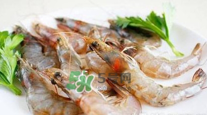 白蝦有寄生蟲嗎？如何選購新鮮的蝦