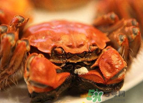太湖蟹什么時(shí)候上市？太湖蟹幾月份有