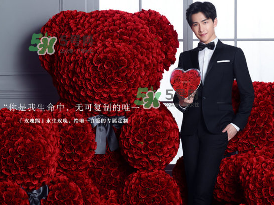 roseonly熊怎么樣？roseonly玫瑰熊好看嗎？