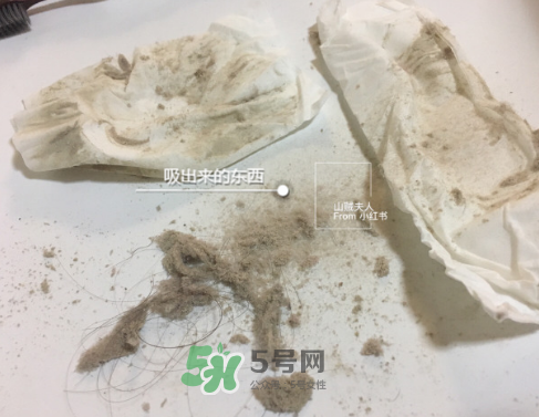 除螨儀真的能除螨嗎？除螨儀到底有沒有用？