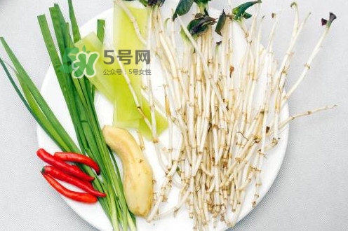 魚腥草用開水泡可以嗎？魚腥草用量多少克？