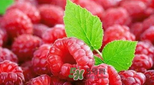 pola莓果酵素怎么吃？pola紅莓酵素怎么樣？