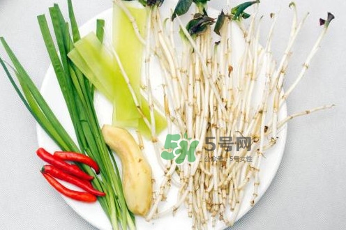 魚腥草什么季節(jié)有？魚腥草什么時候采摘最好