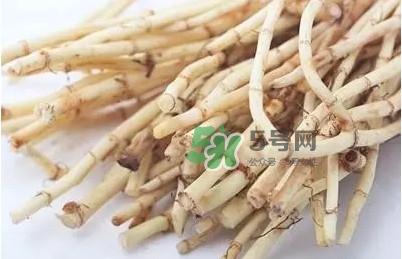 魚腥草什么季節(jié)吃最好？魚腥草什么時候吃最好