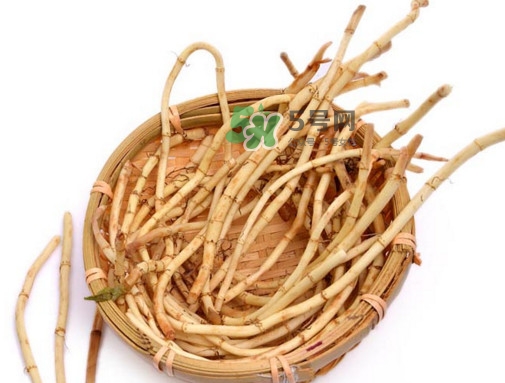 折耳根有毒嗎？折耳根有毒吃了會傷腎？