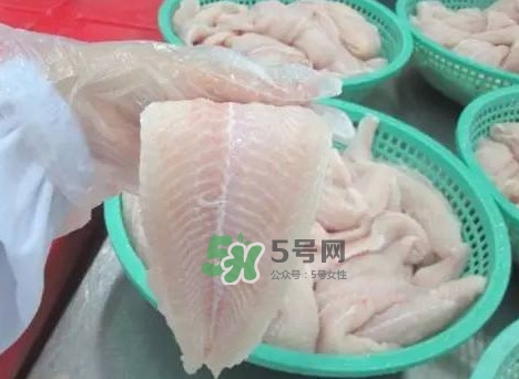 巴沙魚有刺嗎？巴沙魚有寄生蟲嗎